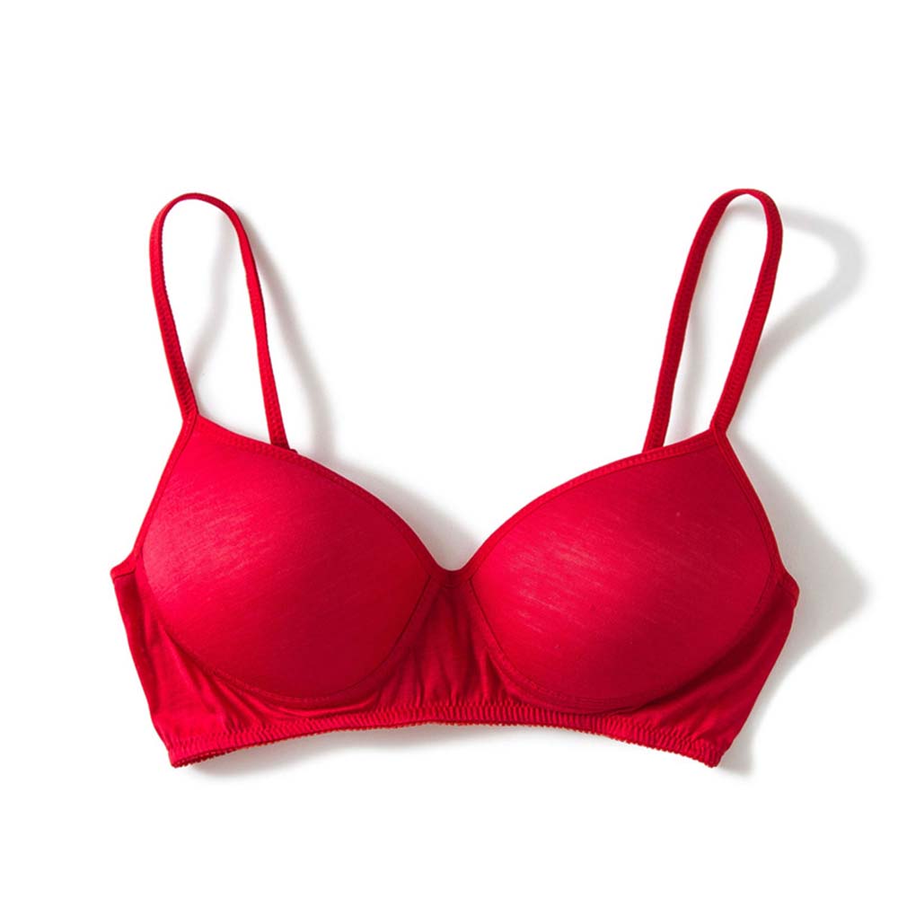 Ixora Single Padded Bra